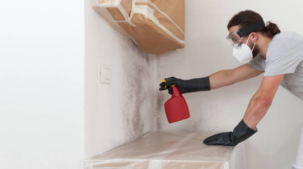 Professional Attic Mold Remediation technician working in Paramus, NJ
