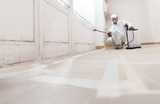24/7 Emergency Attic Mold Remediation experts in Paramus, NJ