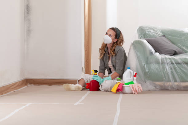 Reliable Attic Mold Remediation contractor in Paramus, NJ by Mold Remediation HQ